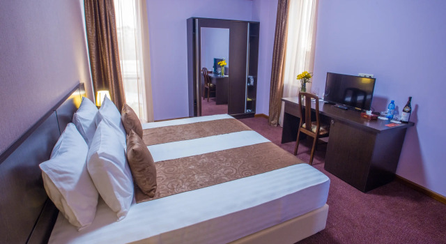 Premium Tweepersoonskamer uitzicht op de stad Ani Central Inn Hotel