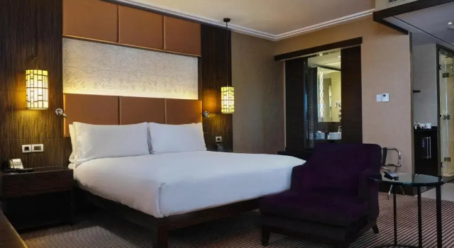 Двухместный номер Делюкс с видом на город Hilton Baku