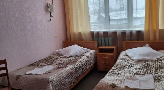 Двухместный номер Economy Гостиница Планета