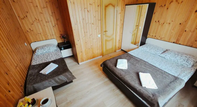 Трёхместный номер Comfort Элегант
