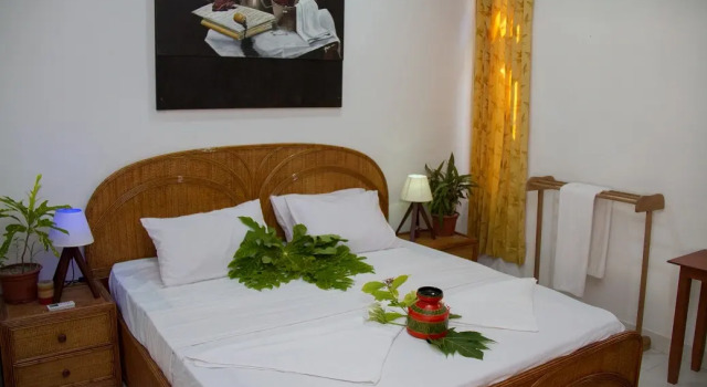 Двухместный номер Standard с балконом и с красивым видом из окна Гостевой дом Alvi Star Inn