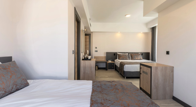 Трёхместный номер Deluxe с балконом и с красивым видом из окна IRENIC HOTEL
