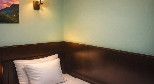 Camera singola Economy BuddHotel Hotel