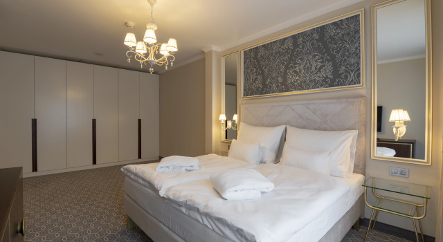 Номер Standard Spa Hotel ULRIKA