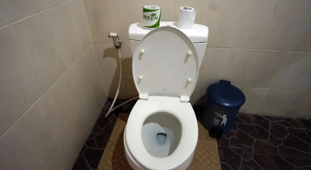 Двухместный номер Superior с балконом и с красивым видом из окна Гостевой Дом Ubud Dream