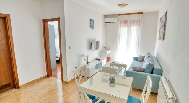 Апартаменты Premium c 1 комнатой с балконом и с красивым видом из окна Garni Hotel Milica