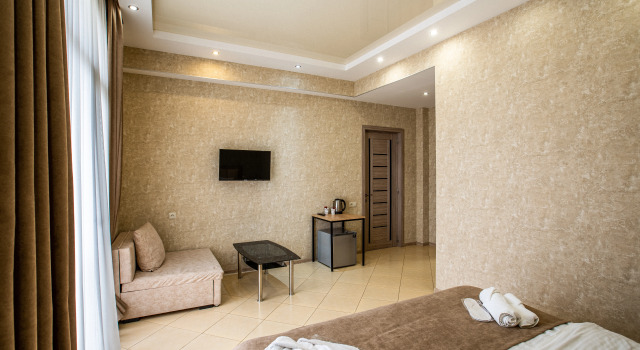 Двухместный номер Standard с красивым видом из окна Tbilisi Sea Hotel