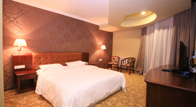 Двухместный люкс Borjomi Palace Health & Spa Center