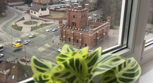 S Vidom Na Korolevskie Vorota Apartments, Book Apartment Kaliningrad Kaliningrad Region