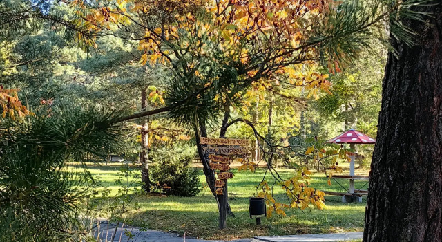 Recreation camp Park Polyanka, Book Tourist Base Bulkovo 