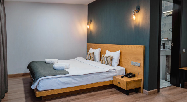 Двухместный номер Standard с фронтальным видом Отель Bakuriani Inn