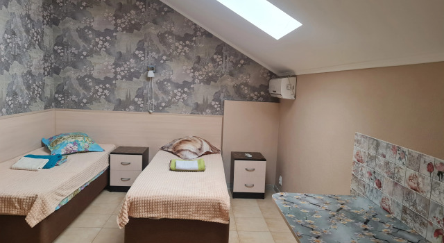 Economy Double Attic room DelfiniYa Mini-Hotel