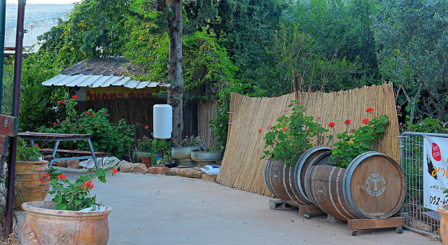 Farod Country Guest House, Reserva ahora Hostal o pensión Amirim 