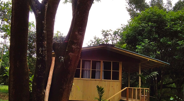 Трёхместный номер Standard с балконом и с красивым видом из окна Отель Casa Drake Lodge