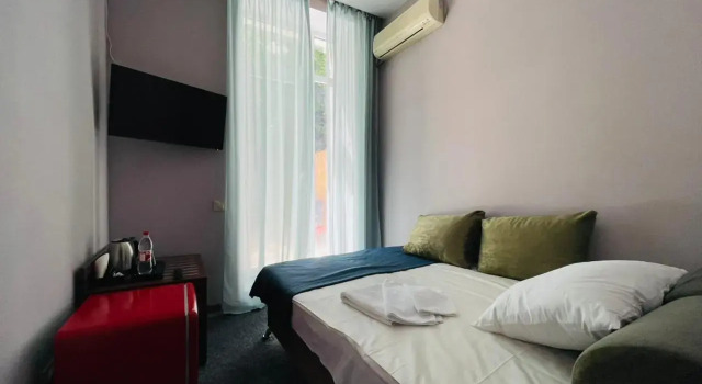 Одноместный номер Standard с видом на парк Гостиница Нotel 1963