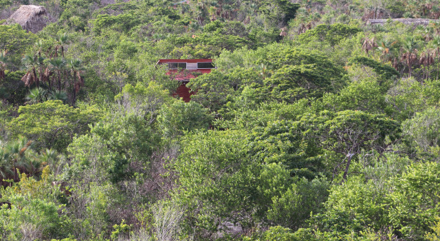Palmento Grove Garifuna Eco Cultural and Fishing Institute Bread & Breakfast, Rezervovat Penzión se snídaní Hopkins Stann Creek