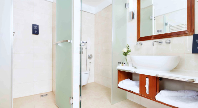 Двухместный номер Standard Palace Bridge Hotel