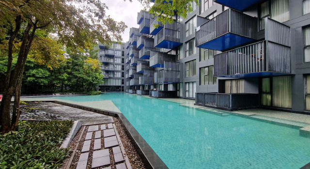 Студия Апартаменты The Deck Patong