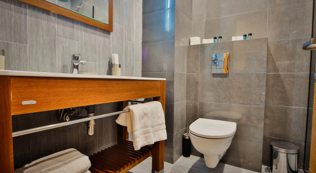 Habitación doble Estándar Ameri Plaza Tbilisi