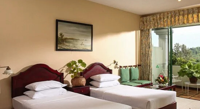 Номер Deluxe с красивым видом из окна Tree of Life Nature Resort