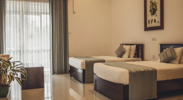 Номер Deluxe с красивым видом из окна Tree of Life Nature Resort