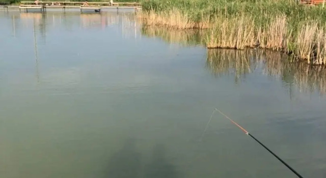 Baza Otdyiha Fishpark, Prenota Hotel Hotel a Tyumen Region con parcheggio, Parcheggio