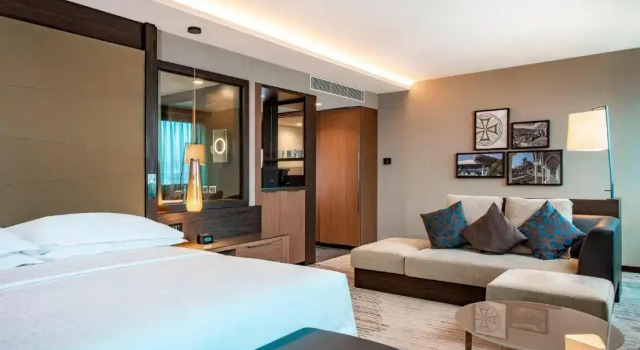 Двухместный номер Club Lounge Access Premium Sheraton Grand Tbilisi Metechi Palace