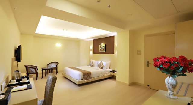 Номер Deluxe с красивым видом из окна Hotel Patliputra Continental