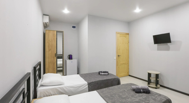 Standard Twin room with view manushak Guest house