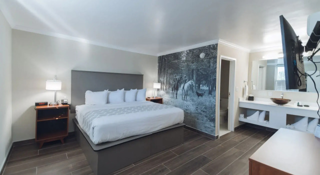 Двухместный номер Standard Отель Equus Inn Ocala