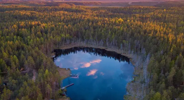 База отдыха Forest Lake, Забронировать База отдыха Рощино Выборгский район