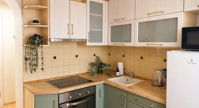 Botanika na Rybnoj derevne Apartments, Book Apartment Kaliningrad Kaliningrad Region