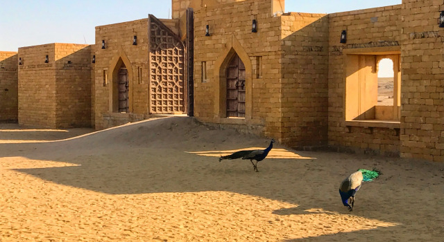 The Kafila Desert Camp, Réserver Camping Camping et glamping à Rajasthan, Camping