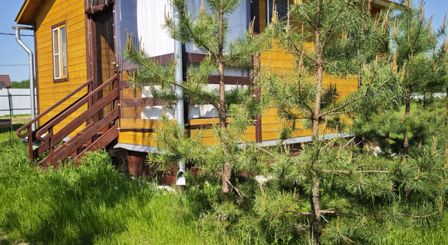 Dacha Gribnika Private House, Prenota Casa vacanze Ville a Central Russia, Villa