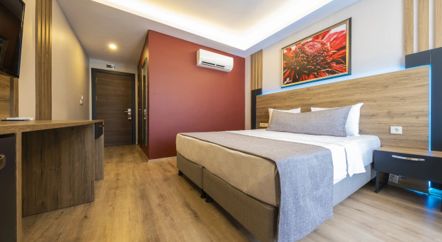 Двухместный номер Standard с видом на город RUSH HOTEL İSTANBUL