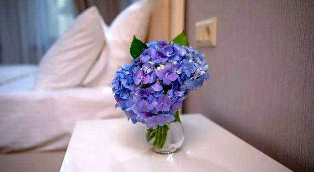 Sama Grand Hotel, Varaa Hotelli Tbilisi Tbilisi Region