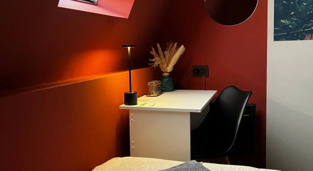 Standard Double Attic room with city view Pruss Hostel