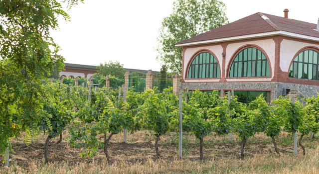 Одноместный номер Standard с красивым видом из окна Отель Chabiant Winery