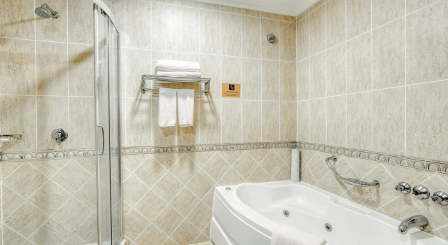 Deluxe værelse Kibo Palace Hotel