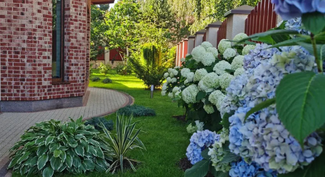 Forester Guest House, Book Guesthouse Lesnoy 