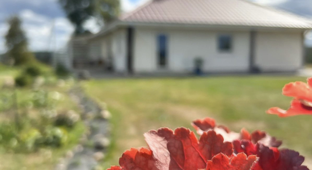 Art-House Guest House, Rezervați Pensiune Peski 