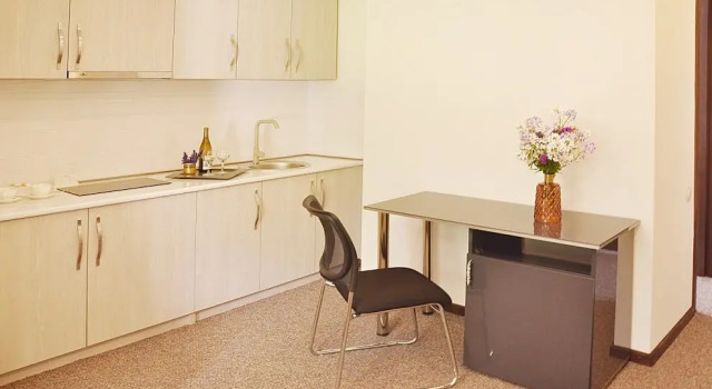 Семейный номер Standard с балконом и с красивым видом из окна AuRoom Bakuriani Resort