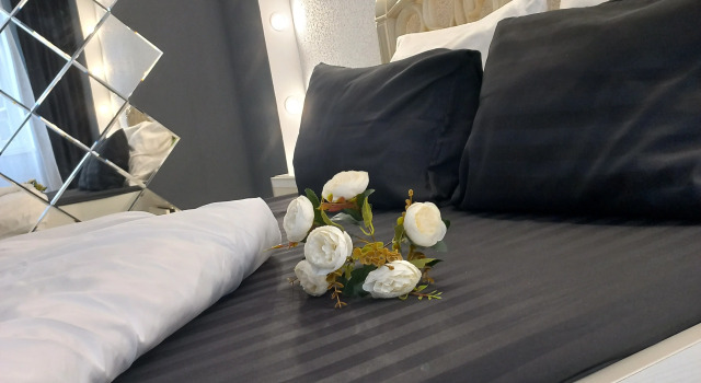 Uyutnaya S Novym Remontom Flat, Book Apartment Kaliningrad Kaliningrad Region