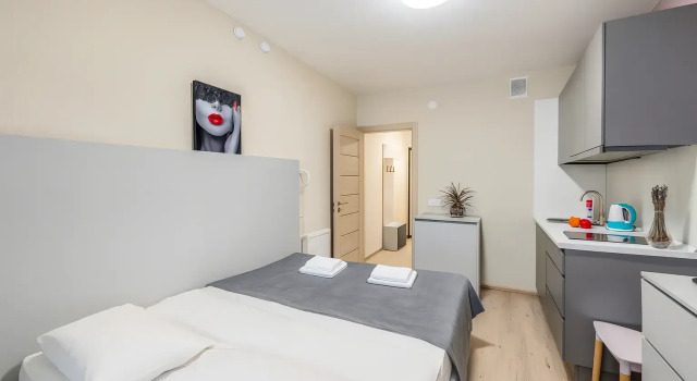 Apartment Like 2, Rezervovat Apartmán Hotely v Petrohrad s bazénem, poblíž Ploshchad Muzhestva Metro Station, Bazén