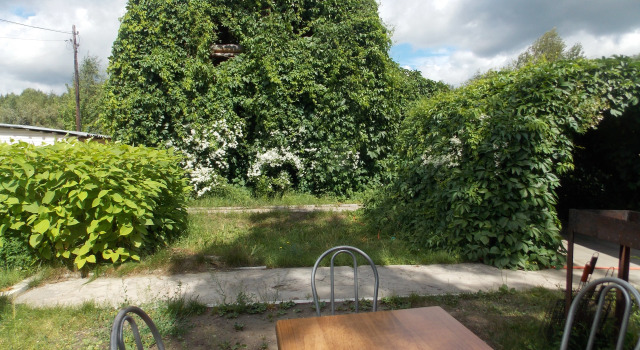 Za Kamoj Guest house	, Book Pension Hoteller i Leninsky City District med pool, Swimmingpool