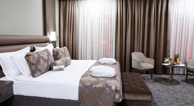 Двухместный номер Executive Euro Park Otel