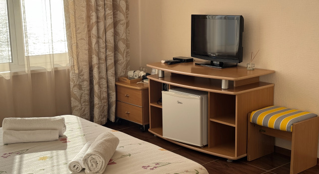 Двухместный номер Deluxe Меблированные Комнаты Пионер