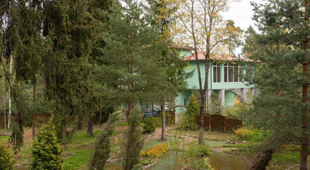 Отель Forest Relax