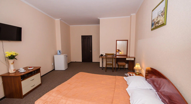 Standaard Tweepersoonskamer Delfin Hotel