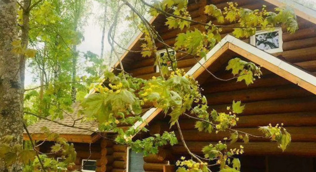 Частный дом c бaнeй у озepa Хэпоярви